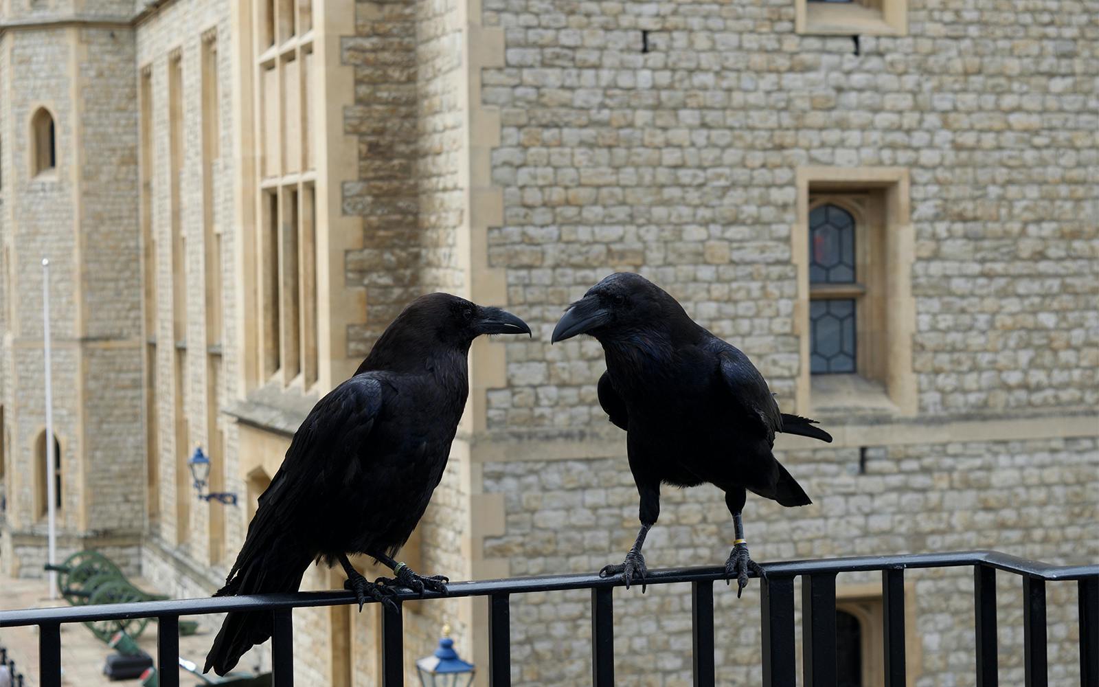 10-intriguing-tower-of-london-facts-you-need-to-know